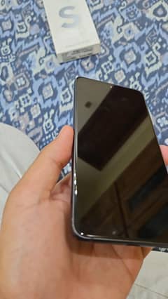 S21 FE 5G 8/256 PTA