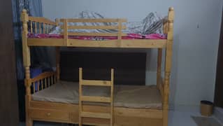 Bunker bed for adults and kids