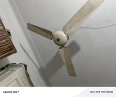 2 ceiling fans