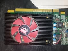 amd