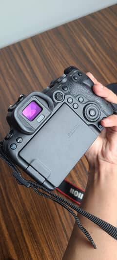 Canon R6 Mirrorless Camera with RF 24-105 Lens