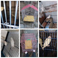 cage