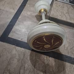 celling fan