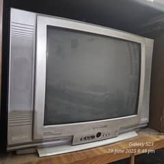 TV ( 10/10 )