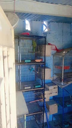 cage / Bird cage /  Iran Cage /  12 portion cage / 8 portion cage