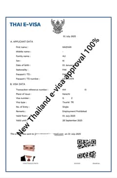 Thailand e-visa done