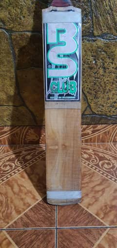 hard ball bat