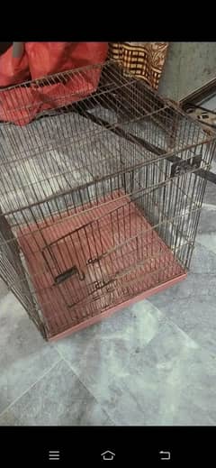 cage for sale 2500 rs