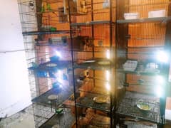 4 portion tower style cages available. .