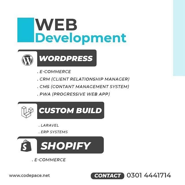 Professional Website Development | Responsive Website Development 0