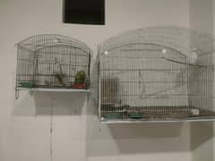 3 cocktail 2 female 1male