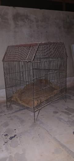 Bird Cage