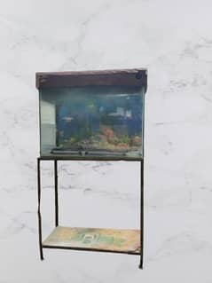fiah aquarium