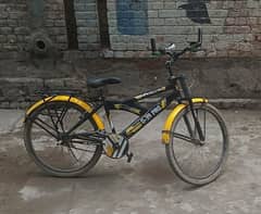 0-39 Pro Bicycle. 10by9 Condition. Final price.