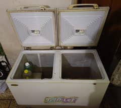 Waves freezer