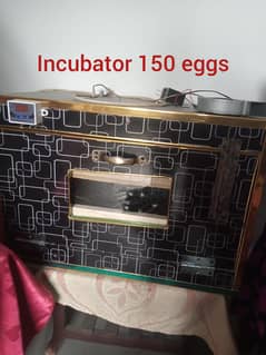 incubator