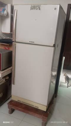 pEL fridge