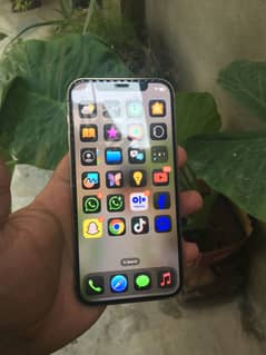 iphone 12pro waterproof