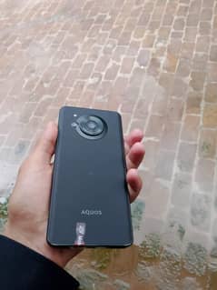 Aquos r7