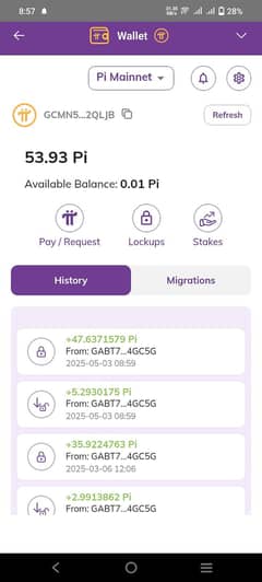 53 pi for sale