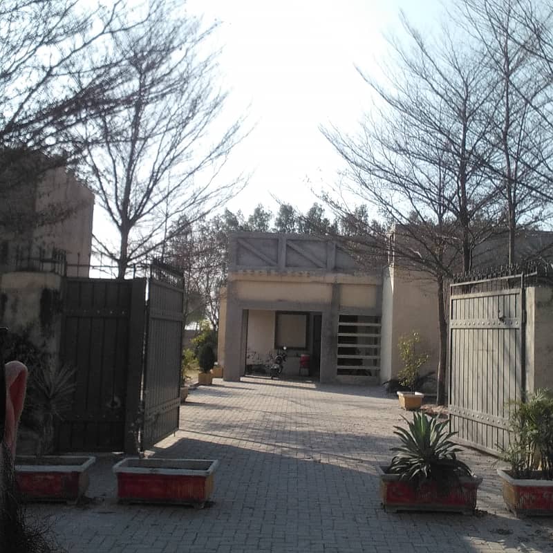 Best Option Corner Plot 5