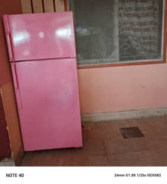 No Frost Fridge