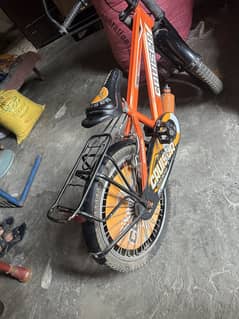 Cruiser