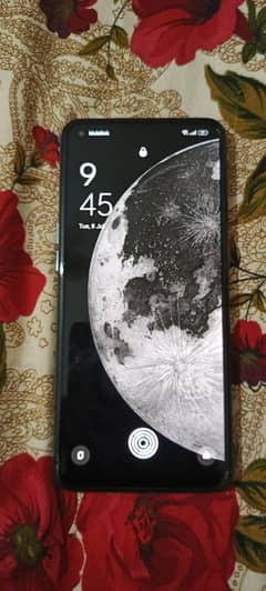 OPPO F19 PRO 8/256