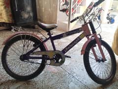 cycle 20 inch