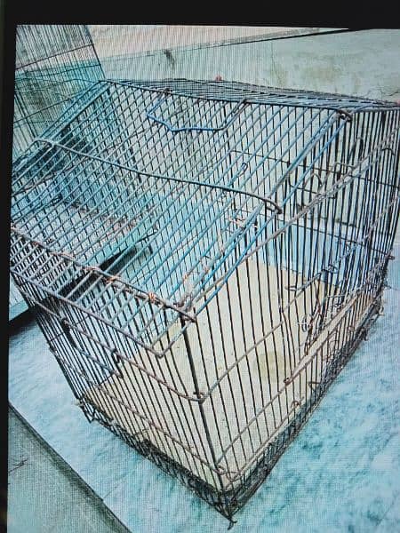 Bird cage 0