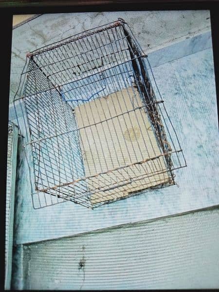 Bird cage 1