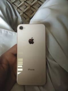 Back glass minimum scraches