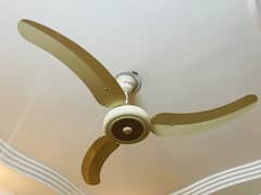 CEILING FAN 2 PEICE(03114303909)