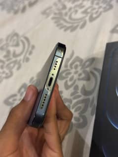 12 pro max pta approved