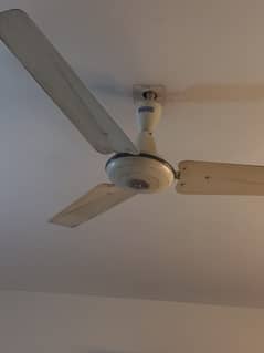 Sale Fans