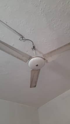Ceiling