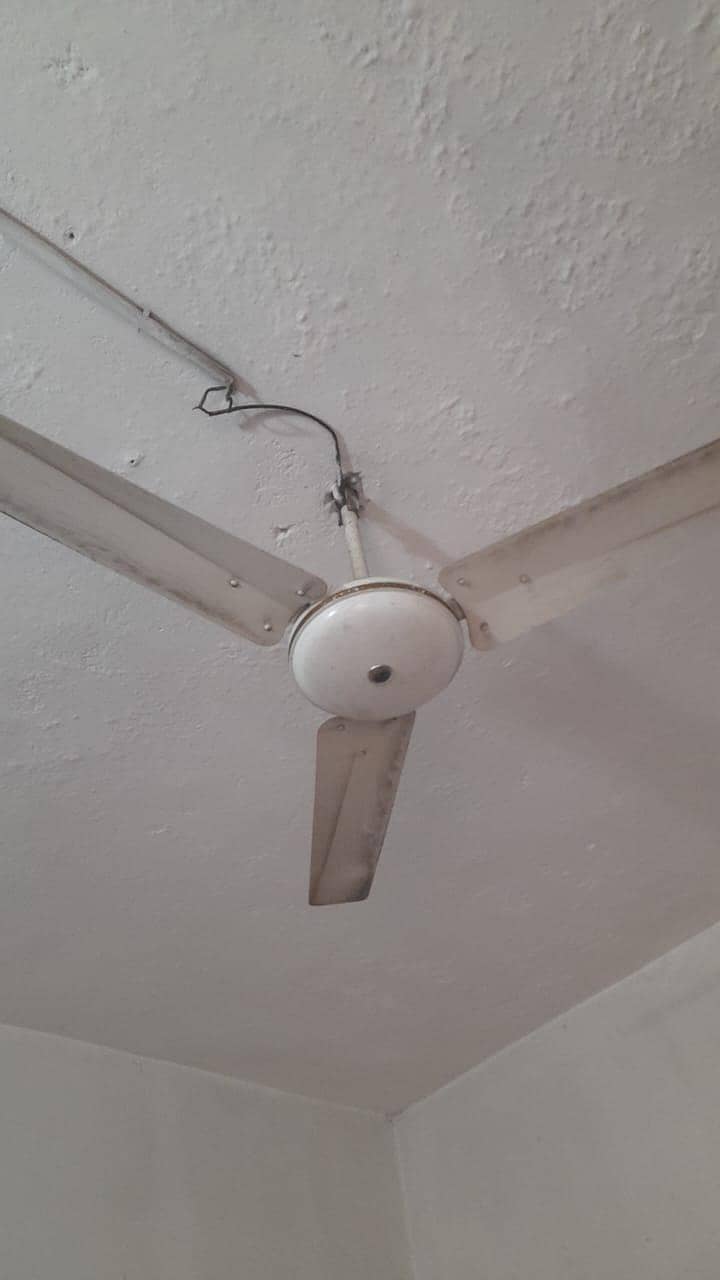 Ceiling Fan 0