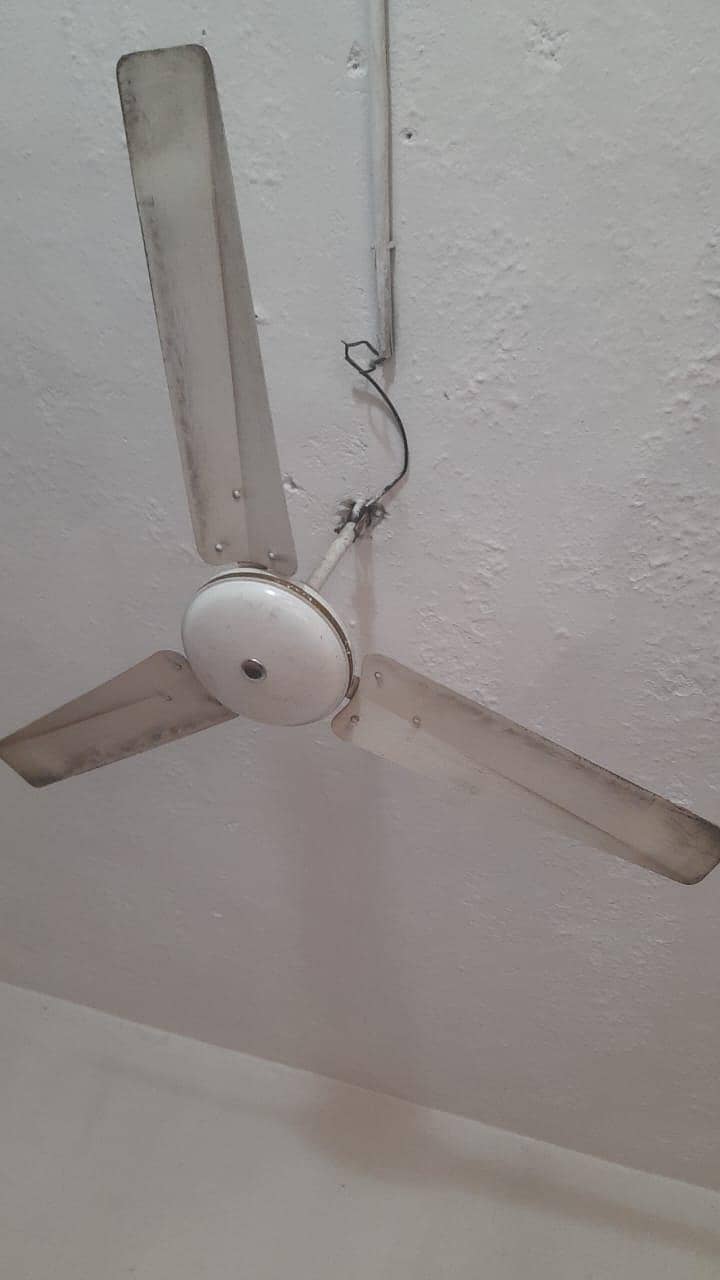 Ceiling Fan 1