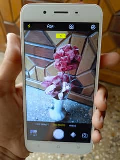 Vivo y66 mobile