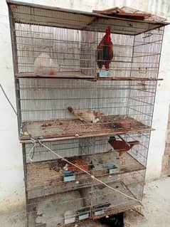 3 Gage Avaiable for Sale