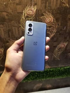 one plus Nord 2