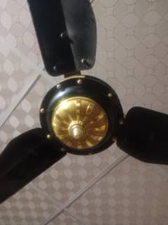 S.