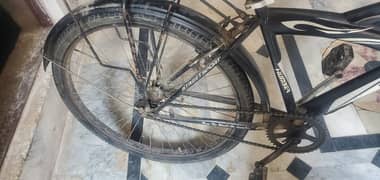 Bicycle