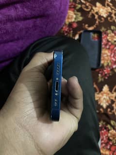I phone 12 mini