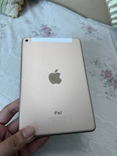 Ipad mini 4 (wifi + cellular)
