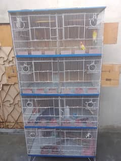 sell cage with parrots