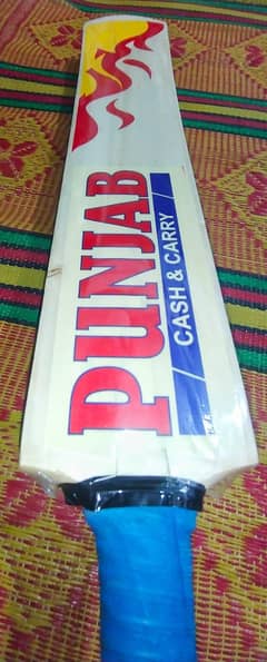 cricket bat