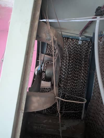 12v Cooler