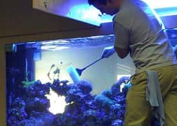 Aquariums Cleaning Service