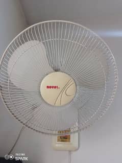 Royal fan 03160537747